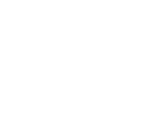 The Behemoth